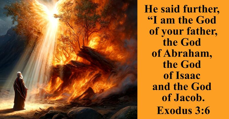 Fourteenth Sunday after Pentecost
