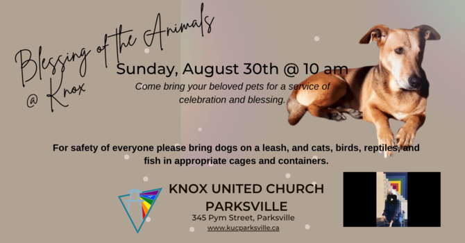 Blessing of the Animals