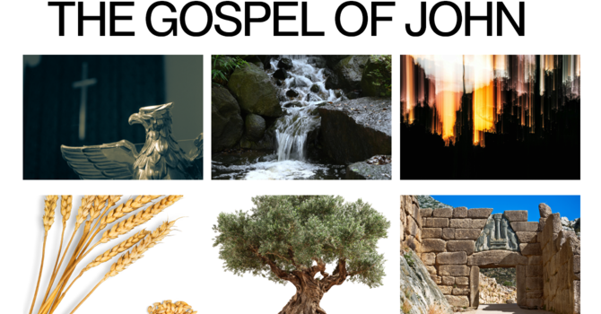 NEW! Bible study on the Gospel of John image