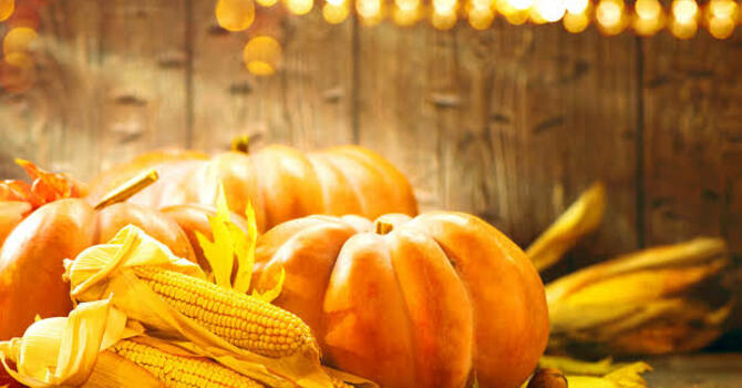 Fall Festival in the Park