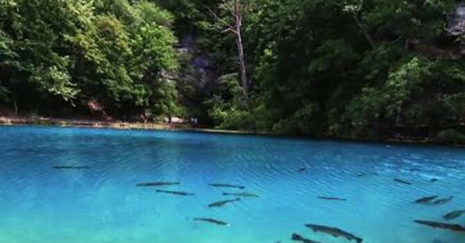 JOY trip to the Roaring River