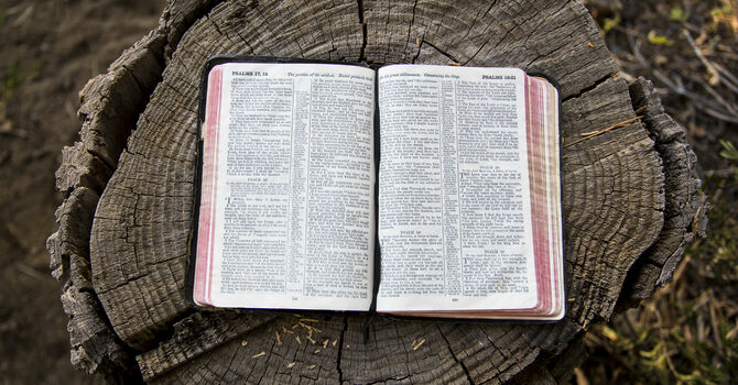 New Member Bible Study