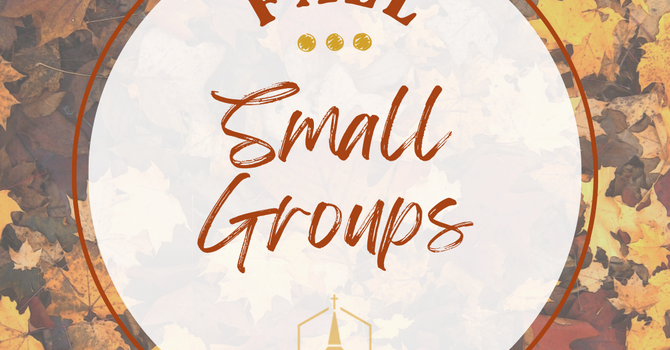 Fall Small Groups