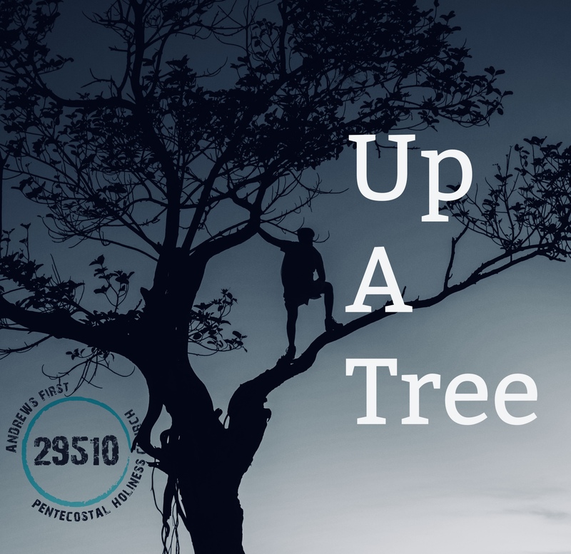 Up A Tree 2