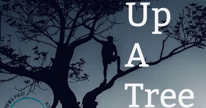 Up A Tree 2