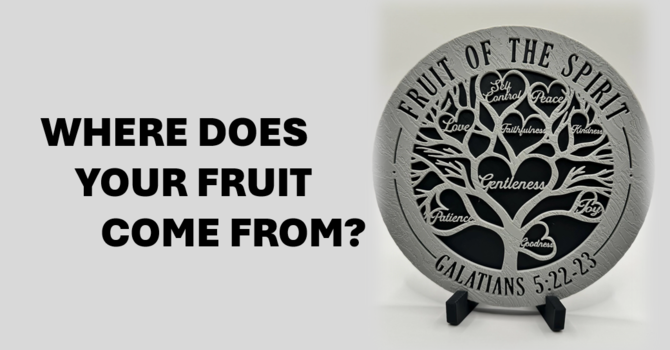 Where Does Your Fruit Come From?