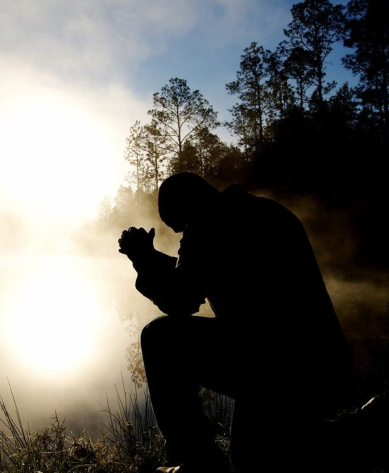 Fourteenth Sunday After Pentecost, 2026