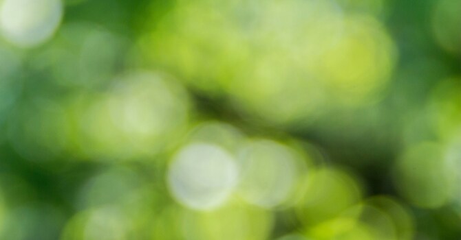Mission and Ministry Development