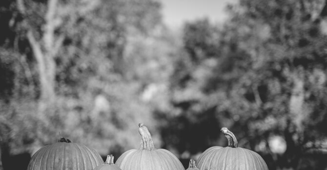 Harvest Festival