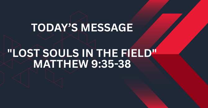 LOST SOULS IN THE FIELD