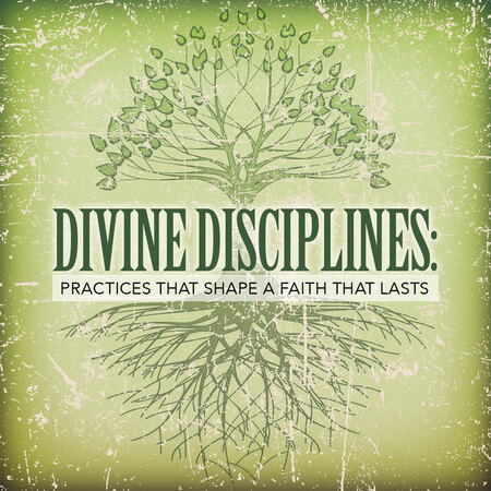 Divine Disciplines