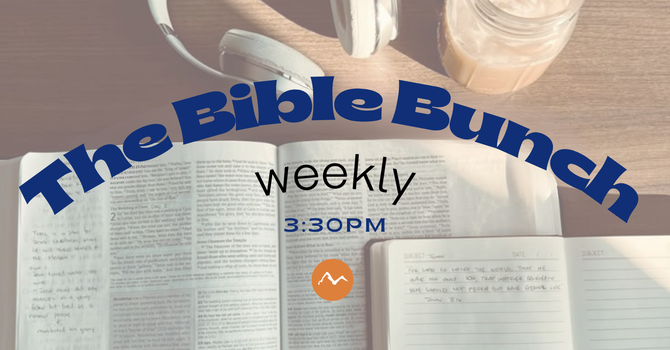 The Bible Bunch 