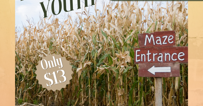 Corn Maze