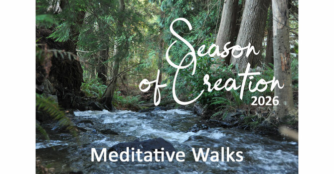 Meditative Walks  (#2-4)