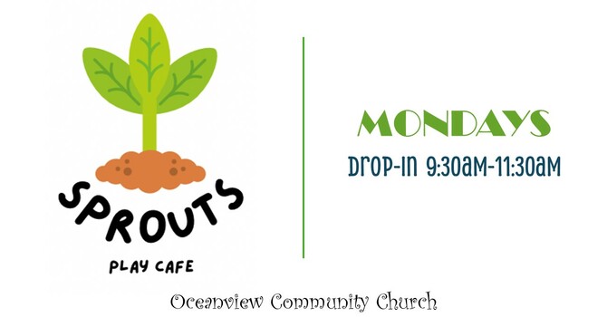 Sprouts Play Cafe