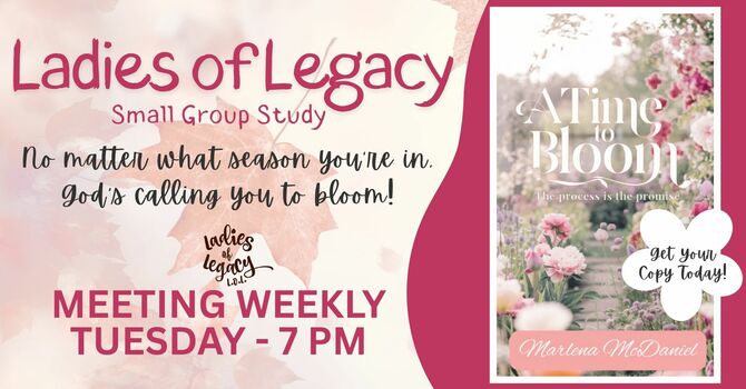 Ladies Life Group