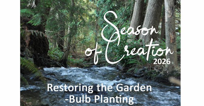 Restoring the Garden-Bulb Planting