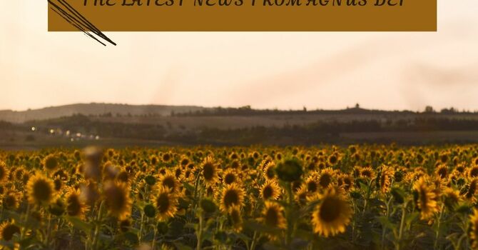September 2026 Newsletter image