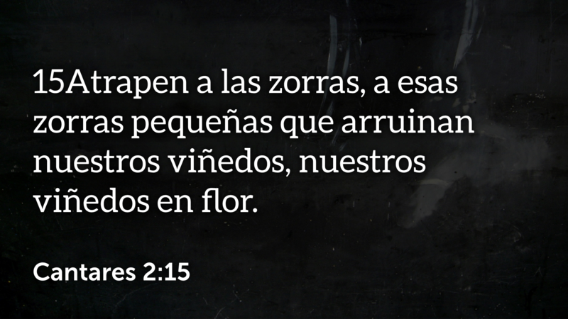 Cantares