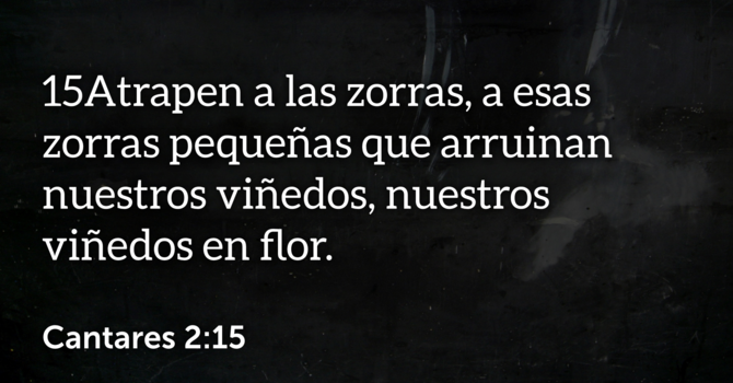Cantares