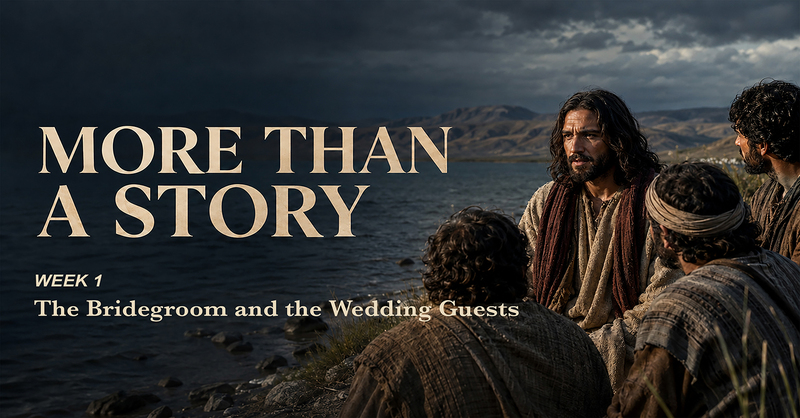 Series: More Than a Story
