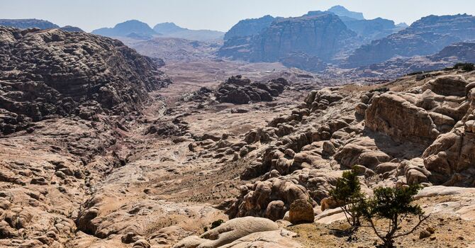 Wadis image
