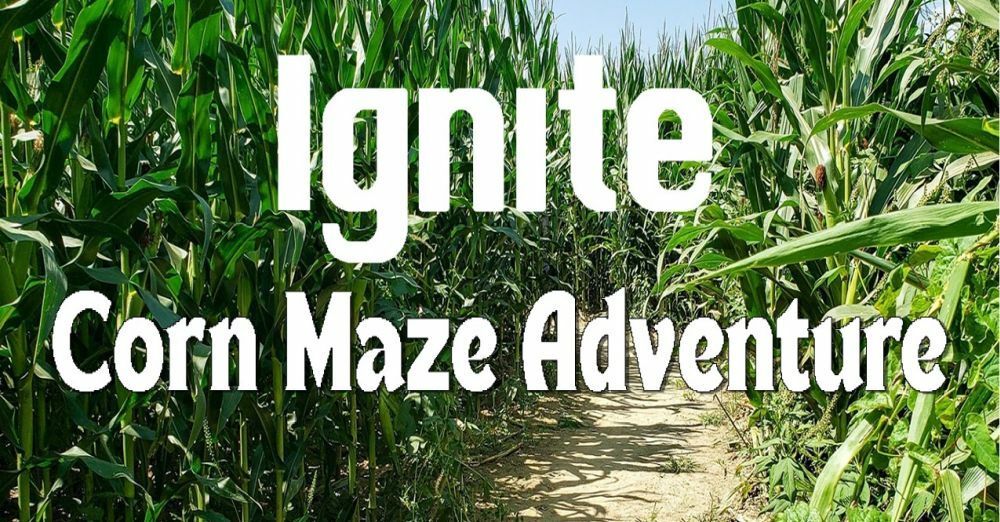 Corn Maze