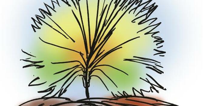 PENTECOST 14_LECTIONARY 22_2026-08-30 Worship