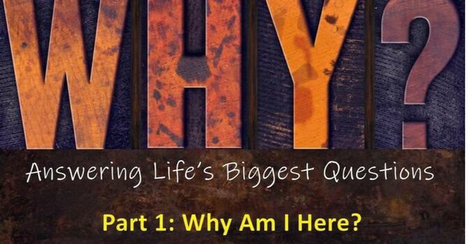 WHY? Part 1