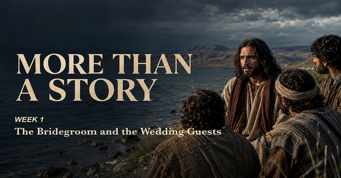 Series: More Than a Story