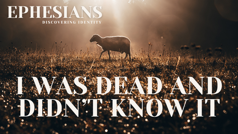 I was Dead and Didn't Know It