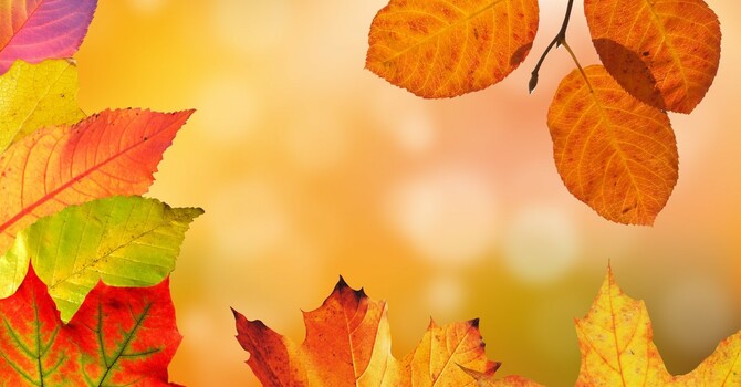 Fall Communicator