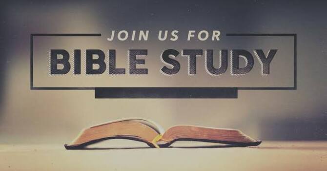 Synergy Bible Study