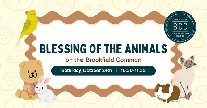Blessing of the Animals