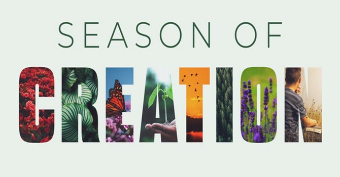 Sunday Worship: Season of Creation