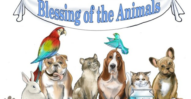The Blessing of the Animals