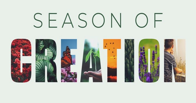 Sunday Worship: Season of Creation
