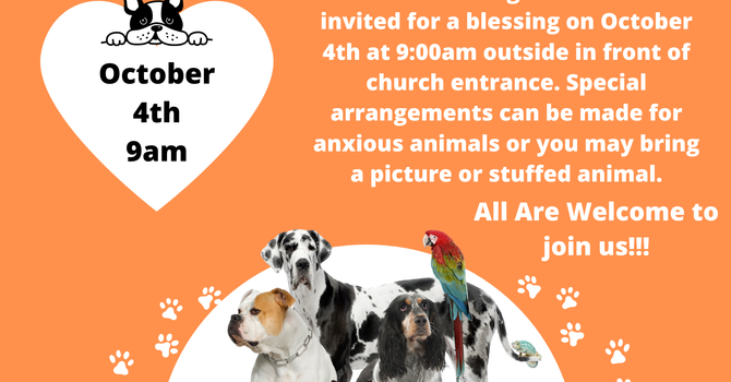Blessing of Animals