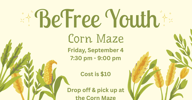 Corn Maze