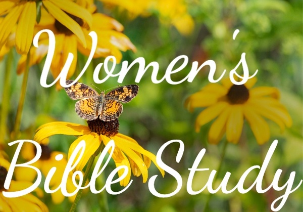 The Women’s Bible Study & Prayer Net