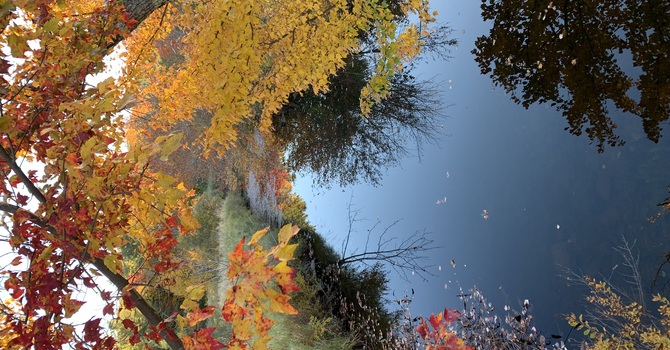 Observing the Season of Creation image