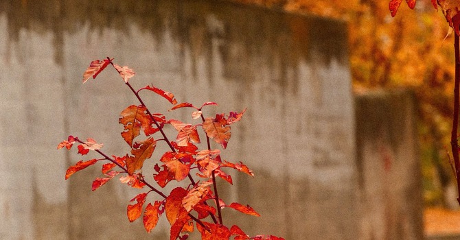 Worship: "A Season of Change"