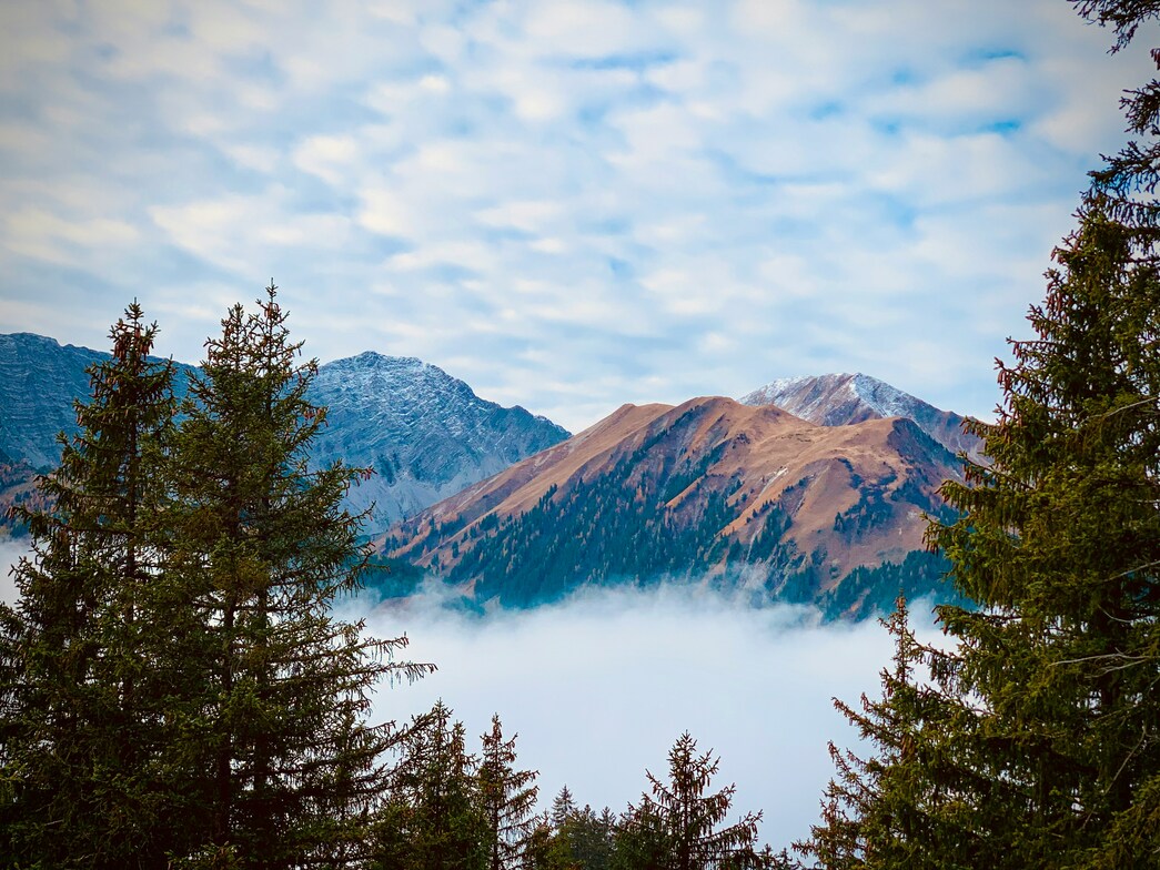 Slideshow image