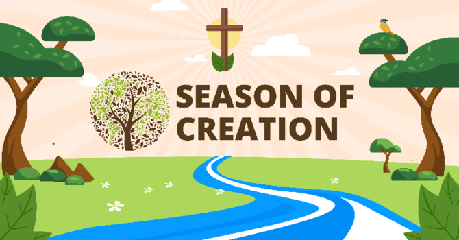 This Sunday's Readings and Order of Service