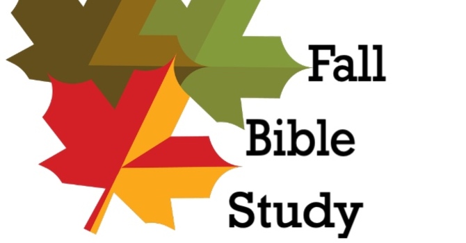Bible Studies Begin image
