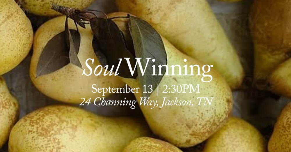 Soul Winning