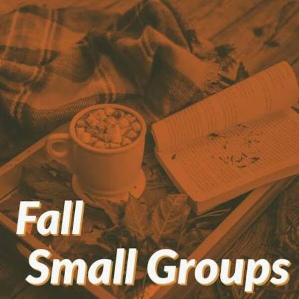 Fall Small Groups