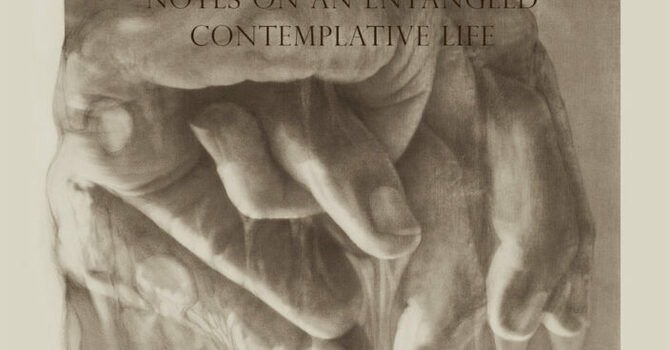 Hands Like Roots
