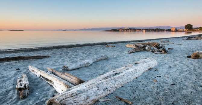 Willows Beach Potluck Sept 6th - 4pm