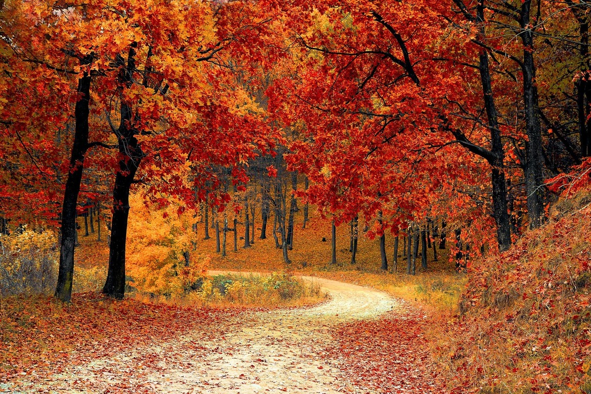 Slideshow image